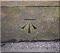 Bench Mark, Belfast