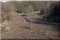 New Path at Middlewood, Middlewood Road North, Sheffield