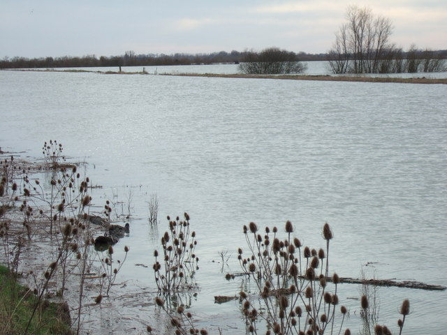 On the waters edge - The Ouse Washes south of Sutton Gault