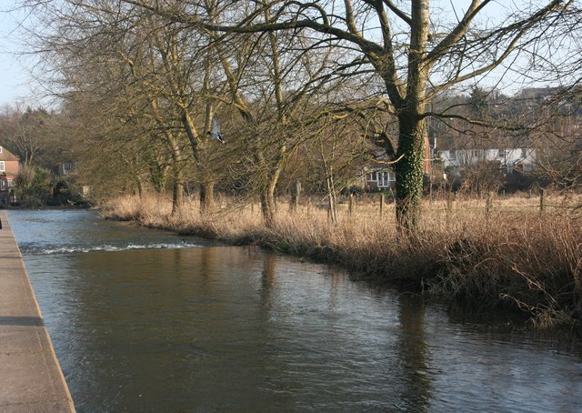 River Darent, Eynsford © N Chadwick cc-by-sa/2.0 :: Geograph Britain ...