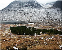 NG8142 : Planted pines in Coire nan Fhamhair by Toby Speight