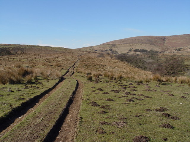 Track From Lickhurst Farm