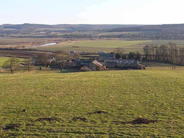 Anick Grange and the Tyne valley