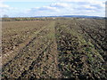 Bridleway cutting across the field