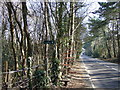 Footpath off Boundary Lane, St Leonards