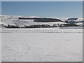 Snowy pastures near Hammer Shields