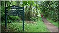 Footpath to Glenashdale Falls (Eas a? Chrannaig)