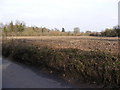 Field next to Wash Lane