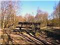 Haughton Dale Bench