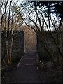 White Cart Walkway in Linn Park