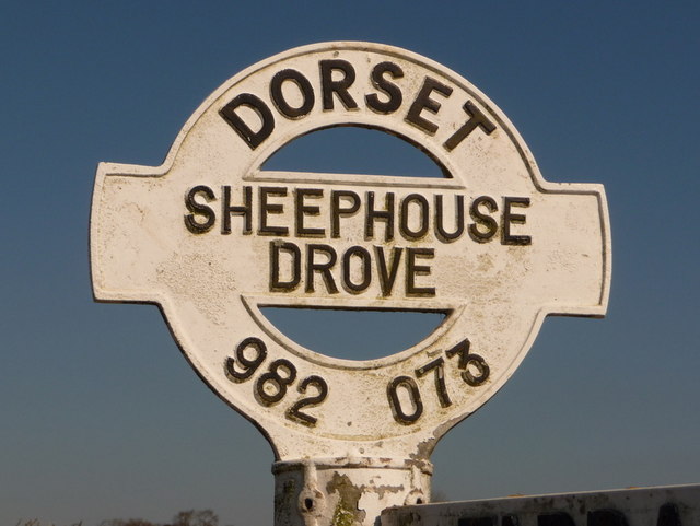 Witchampton: detail of Sheephouse Drove signpost