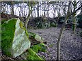 Old quarry, Heddon on the Wall