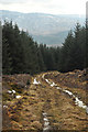 NH2562 : Forest track and a view across Strath Bran by Steven Brown