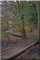 Boardwalk Around Throxenby Mere