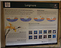 TL9088 : Langmere information board by Hugh Venables