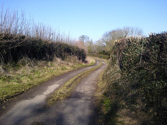 Country Lane, Co Meath
