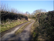 O0746 : Country Lane, Co Meath by C O'Flanagan
