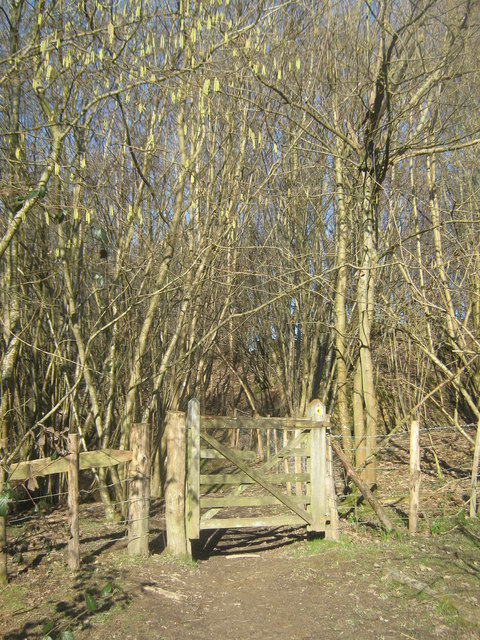Gate into Ratsbury Wood