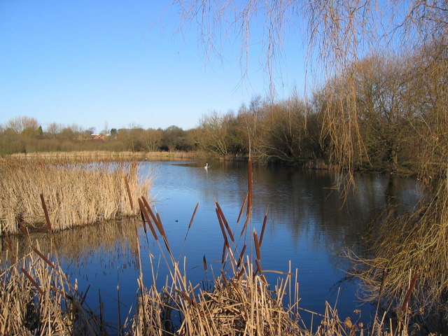 Martin's Pond, Wollaton © Richard Leake :: Geograph Britain and Ireland