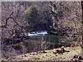 Weir on the River Noe