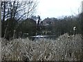 Lake side view, Plants Brook Nature Reserve