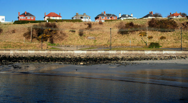 Elevated Houses Whitehead © Albert Bridge Geograph Britain And Ireland