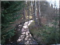 Holme Burn by Ness Castle