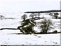 The Hill Road to Fintry