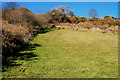 Coastal field, Whitehead (1)