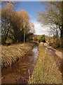 Laneside stream, Chapel Leigh