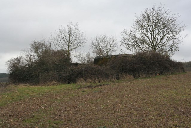 Pillboxes in the undergrowth