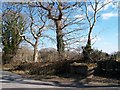 Disused milk churn stand at Plas Hen Farm