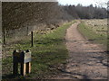 Signpost in the park