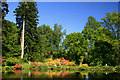 Cortachy Castle Gardens