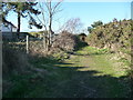 Bournemouth : Grassy Path, Fernheath Valley