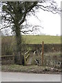 Footbridge Across Greet Brook