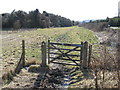 Permissive bridleway alongside the A273