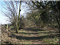 Muddy Bridleway