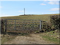 Gate to field south of Brokenborough