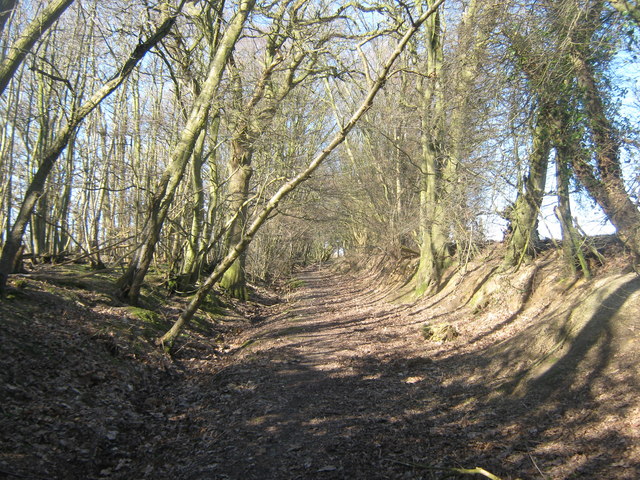 Footpath to Hongland near Collington... © David Anstiss cc-by-sa/2.0 ...