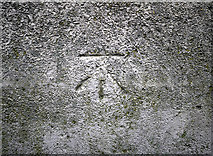 J3471 : Bench Mark, Belfast by Rossographer