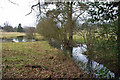 Stream and pond, Newick