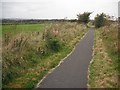 NS8292 : Cycle path, Polmaise mineral line by Richard Webb