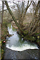 Stream at Shortbridge