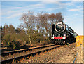 TG1041 : Britannia Pacific 70013 ‘Oliver Cromwell’ past Windpump crossing by Evelyn Simak
