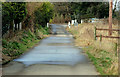 Path to the towpath, Lisburn (1)