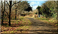 Path to the towpath, Lisburn (2)