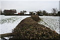 Hedge near Oscroft