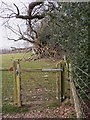 SU9732 : Gate on the Sussex Border Path by Shazz
