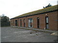 Ducks outside the church hall at St Peter